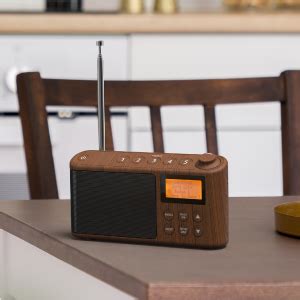 Dab Dab Plus Fm Radio Kleine Digitale Radio Draagbaar Werkt Op