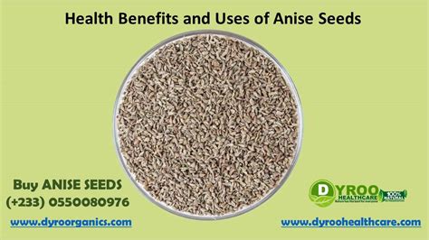 Health Benefits And Uses Of Anise Seeds Dyroo Healthcare