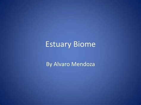 Estuary biome | PPT