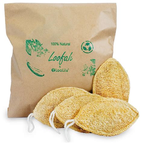 Amazon Natural Loofah Exfoliating Sponge Pack Loofa Body