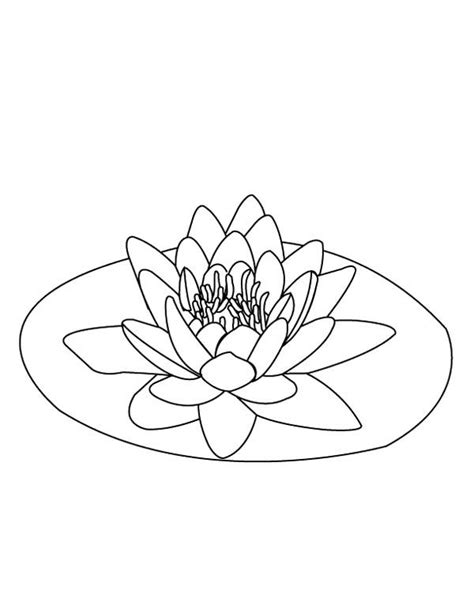 Coloring Pages Lily Pads