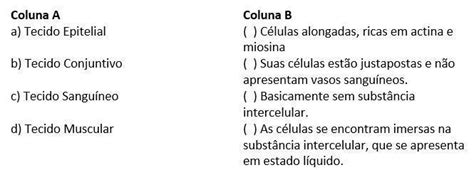 Associe As Duas Colunas E Na Sequ Ncia Assinale A Alternativa Que