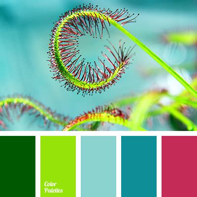 turquoise | Page 3 of 14 | Color Palette Ideas