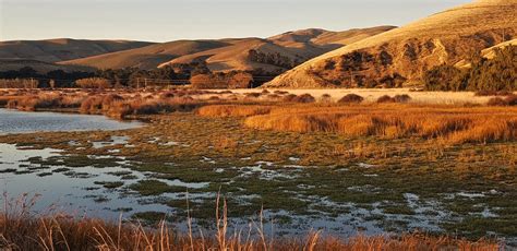 Te Waihora Lake Ellesmere Canterbury New Zealand Flickr