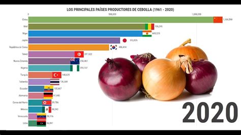 Los PRINCIPALES PAÍSES PRODUCTORES de CEBOLLA en el mundo 1961 2020