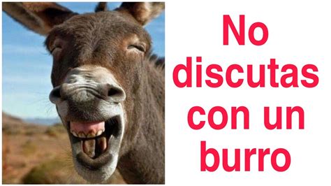 NO DISCUTAS CON Un BURRO Reflexiones Mensajespositivos