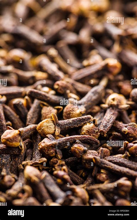 Carnation Dried Clove Spice Aromatic Spice Stock Photo Alamy