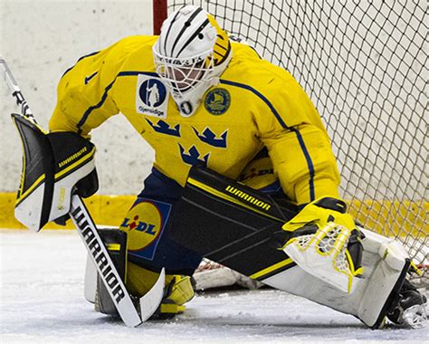 G Mans Goos - Västerås IK, J18 Region (2025 Draft) | HFBoards - NHL ...