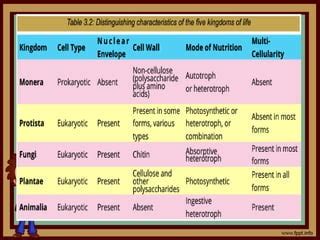 Five Kingdom Classification Monera