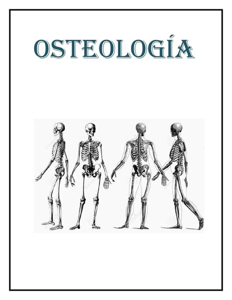 Osteología By Adelfo Issuu