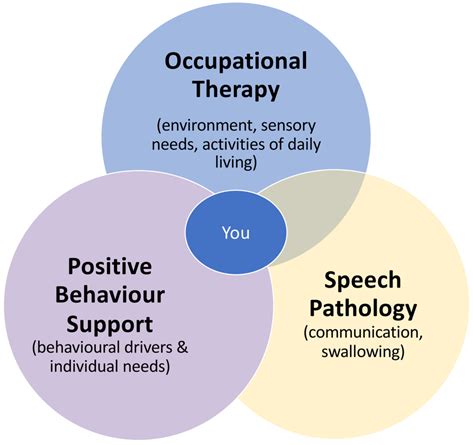 Positive Behaviour Support Outcomes Connect Australia