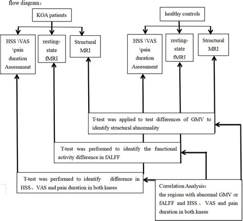 Frontiers Structural And Functional Abnormalities In Knee