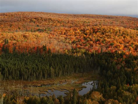 Photos: Fall colors on Minnesota's North Shore | MPR News