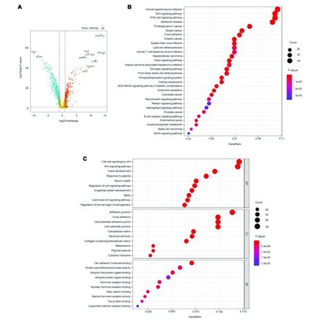 Roc Curve Comparing Sensitivity And Specificity Of Gene Methylation