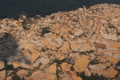 Problemas Ambientales En AmÉrica Lo Que Debes Saber