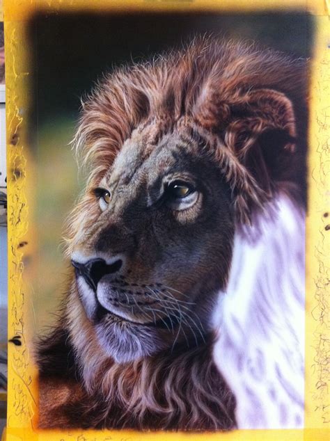 Lion Fur Step By Step Using Transparants