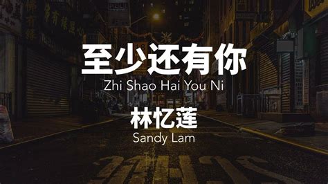 至少还有你 Zhi Shao Hai You Ni 林忆莲 Sandy Lam Chinese Pinyin Lyrics Video Youtube