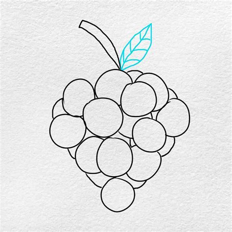 How To Draw Grapes Helloartsy