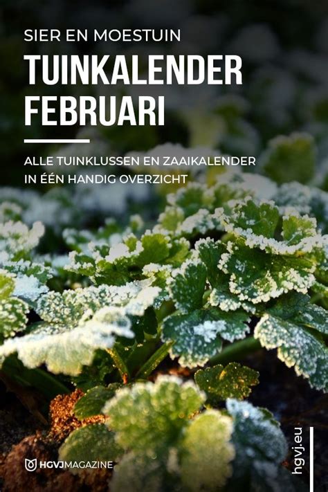 De Tuinkalender Februari Geeft Je Inzicht Voor Alle Tuinklussen Voor