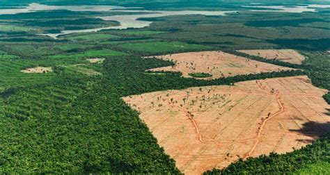 Onde propor a ação para suspender termo de embargo ambiental