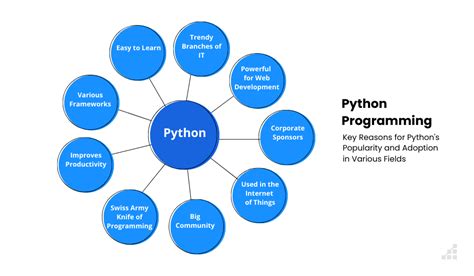 Reasons For Python’s Popularity In 2023 Scalable Path®