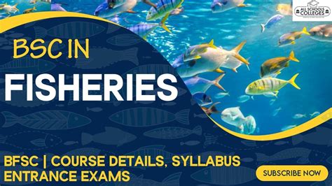 Bsc In Fisheries Bfsc Course Details Syllabus Entrance Exams