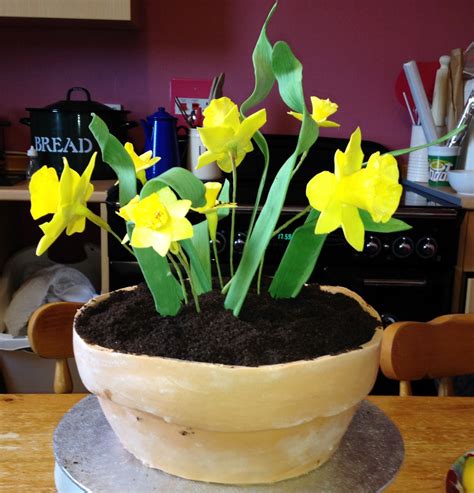 Daffodil Cake Daffodil Cake Daffodils Cake Decorating