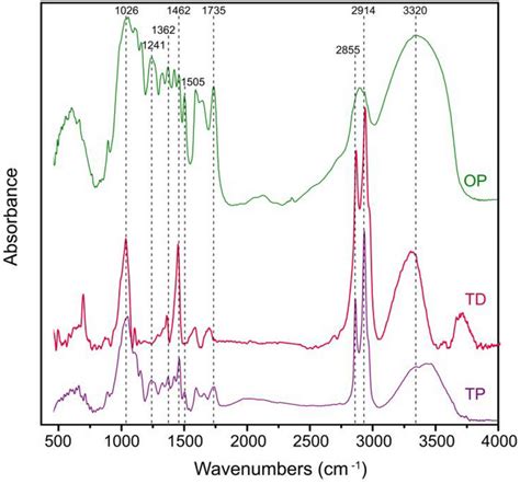 Ftir Spectra Op Td And Tp Specimens Download Scientific Diagram