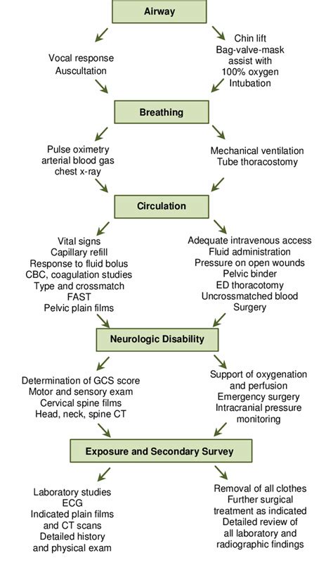 Simplified Assessment And Management Of Trauma Patients Medizzy