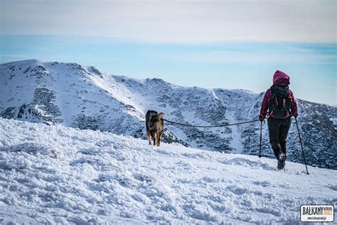 Ni Ne Tatry Z Psem Trekking Z Magurki Na Chabenec Ba Kany Wed Ug Rudej