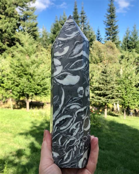 435 Lb Thousand Eyes Stone Aka Shellstone Jasper Obelisk Pillar Tower