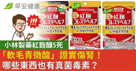 小林製藥紅麴釀5死，「軟毛青黴酸」證實傷腎！哪些食物也要當心真菌毒素？