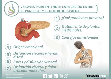 7 claves para entender la relación entre el páncreas y el dolor de