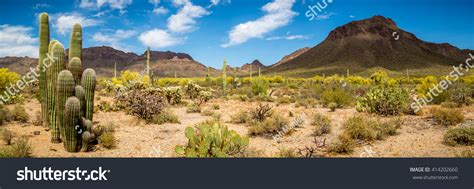 Arizona Desert Landscape Stock Photo (Edit Now) 414202660