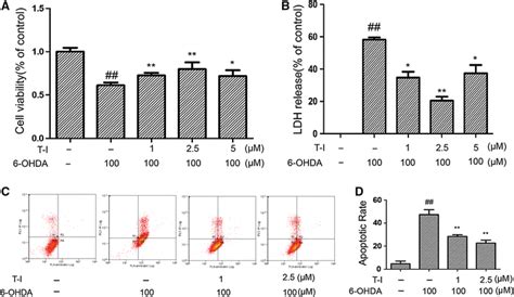 T I Protects Against 6 Ohda Neurotoxicity In Sh Sy5y Cells