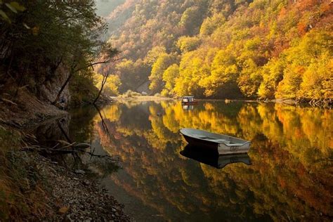 Tara Park Wood City Studenica Monastery Uvac Canyon Novi Sad