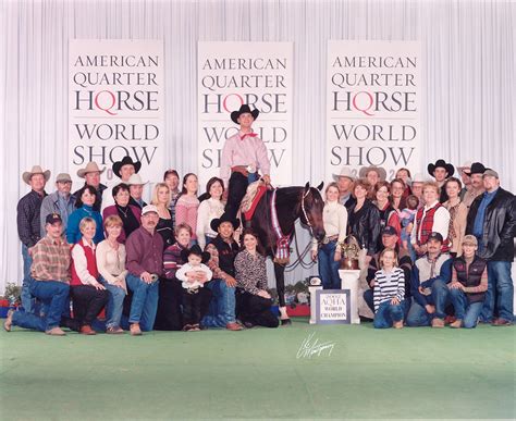 About The Stallion One Hot Krymsun World Champion And Leading Sire