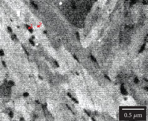 Secondary electron image (a) and secondary electron energy ...