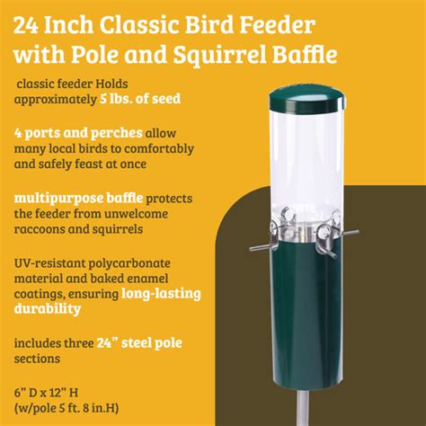 Birds Choice Squirrel Proof Classic Bird Feeder With Pole And Squirrel