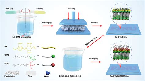 Illustration Of The Solid Phase Molecular Self‐assembly Spmsa For Download Scientific Diagram