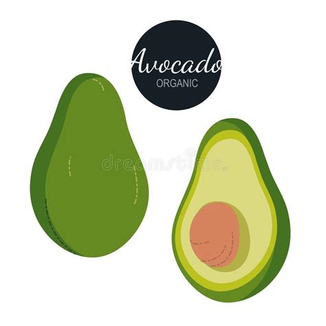 Whole Avocados Stock Illustrations Whole Avocados Stock