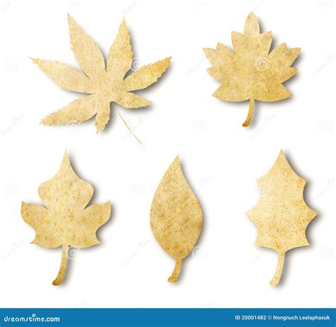 Various Leaf Shape from Paper Stock Photo - Image of craft, memo: 20001482