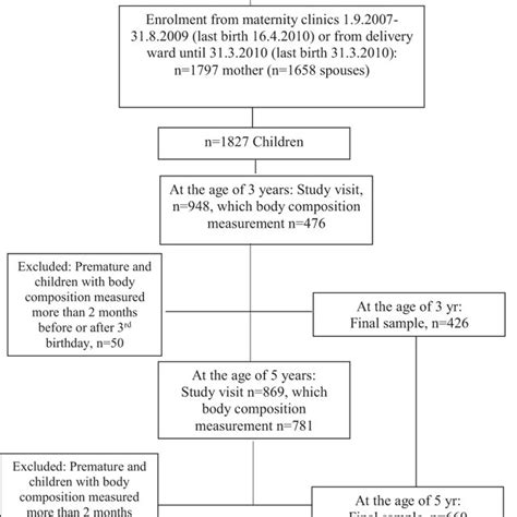 Flowchart Summarizing Exclusion And Inclusion Criteria For Present