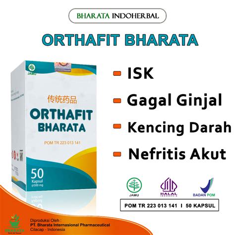 Jual Orthafit Bharata Herbal Penyakit Isk Gagal Ginjal Paling Ampuh