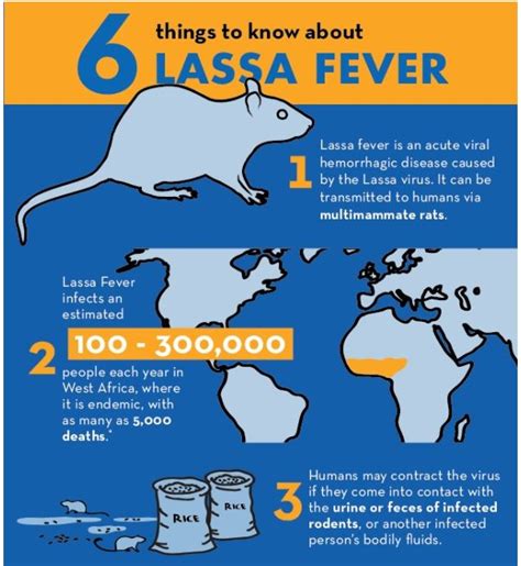 6 Things You Should Know About Lassa Fever Independent Newspaper Nigeria