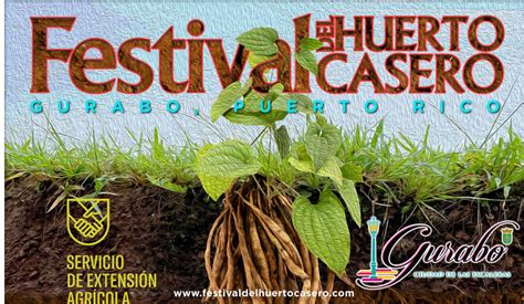 Celebran Festival Del Huerto Casero En Gurabo Este Fin De Semana WIPR