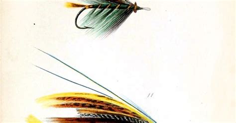 Vintage fly fishing lures, illustrations from a catalog | Fly fishing lures, Fishing lures, Fly ...