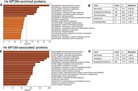 Frontiers Comparative Proteomic Analysis Of Human Milk Fat Globules