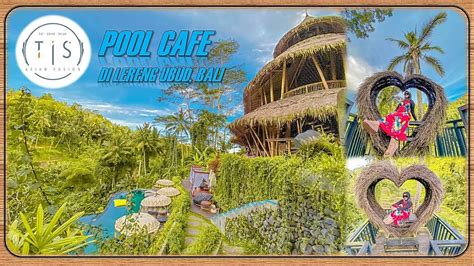 Tis Cafe Bali Pool Cafe Di Tengah Hutan Lereng Tebing Ubud Bali