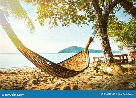 Empty Hammock Between Palm Trees On Tropical Beach Paradise Island For